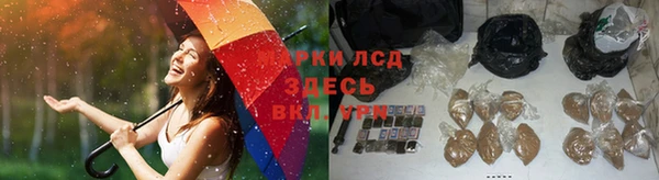 дмт Алексеевка
