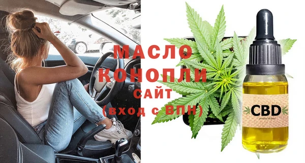 мет Няндома